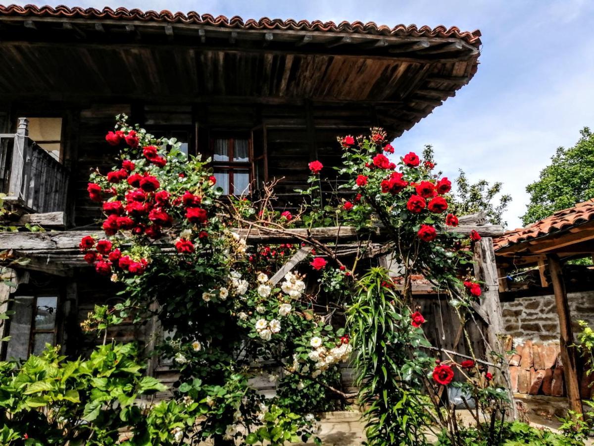 Hotel Къщата На Художника Žeravna Exteriér fotografie